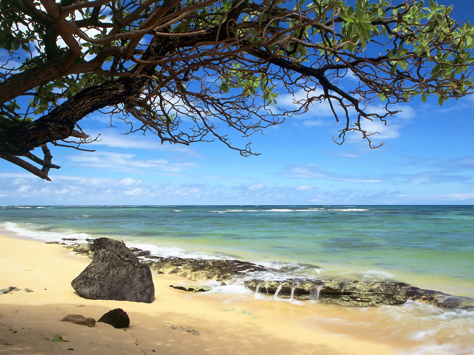uk kanenelu beach oahu hawaii nature wallpaper image featuring beaches 1600x1200