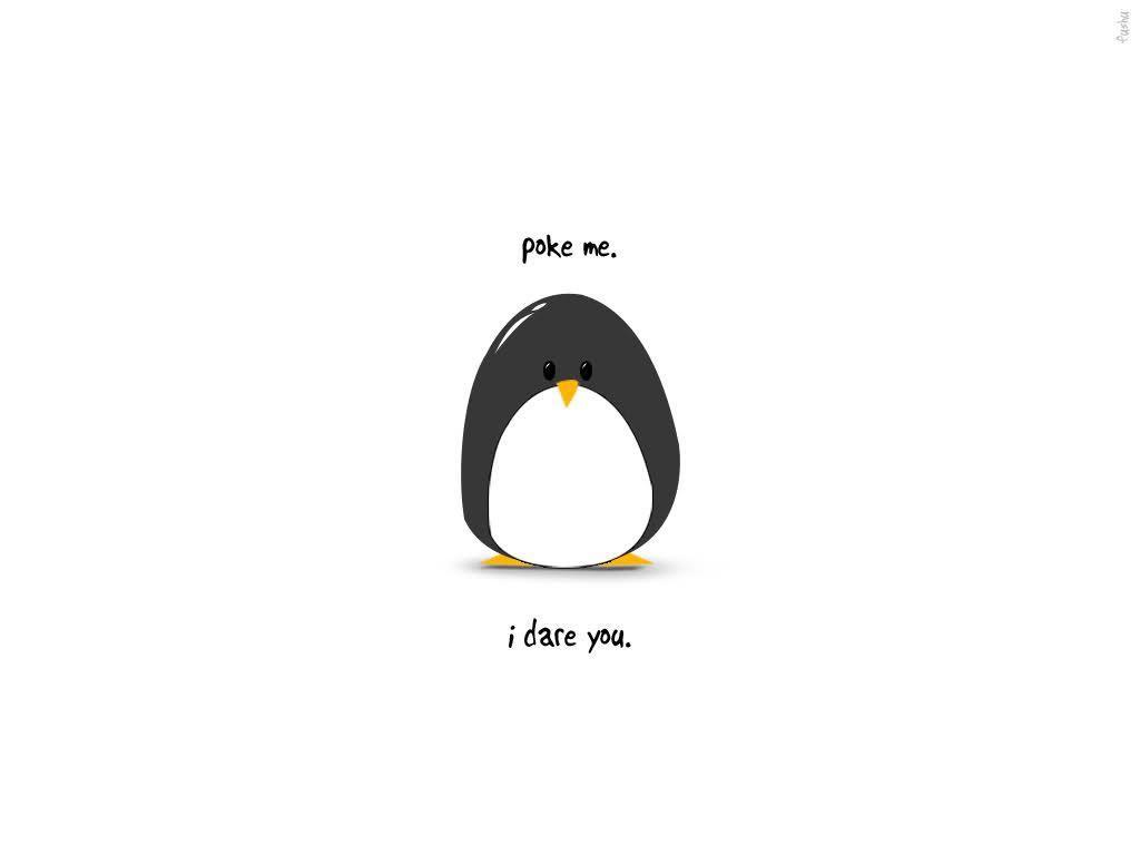 Cute Penguin Backgrounds 1024x768