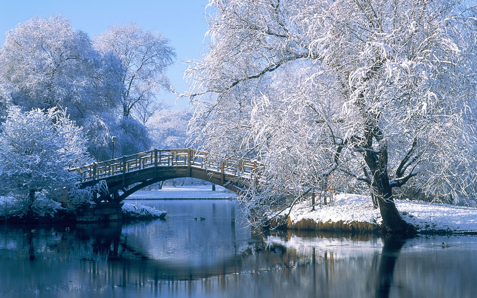 Winter Landscape Wallpaper Wallpaper Mansion 1600x1000