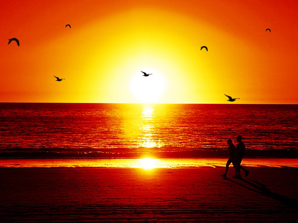 Beautiful Sunset in Beach Wallpaper HQ   Nature Wallpaper 1024x768