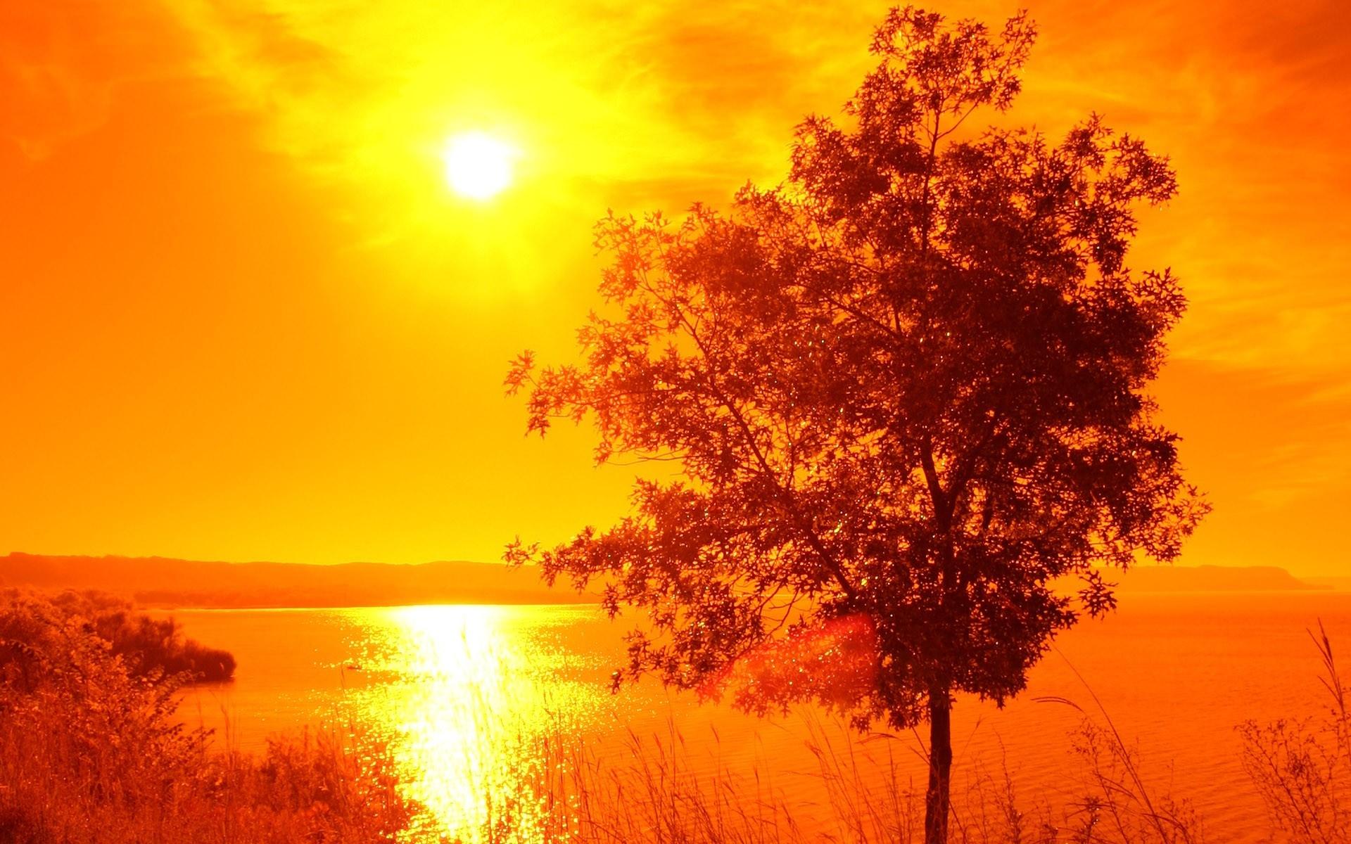 Summer Sunset Desktop Wallpaper   HD Wallpapers 1920x1200