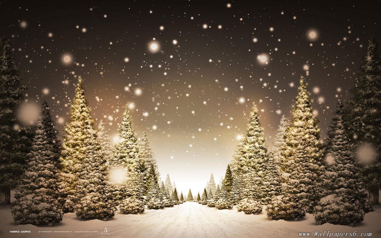 landscape wallpapers winter snow christmas trees winter snow christmas 1280x800