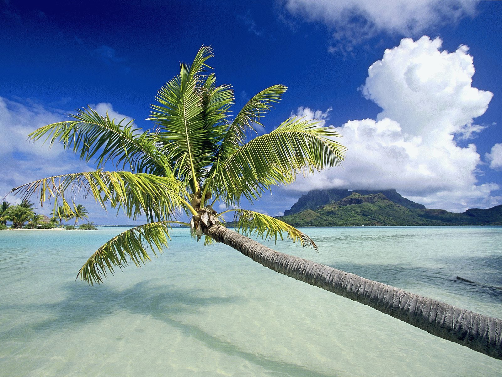 Filename HD beach scenery wallpaper tropical island 2 Updated 2011 1600x1200