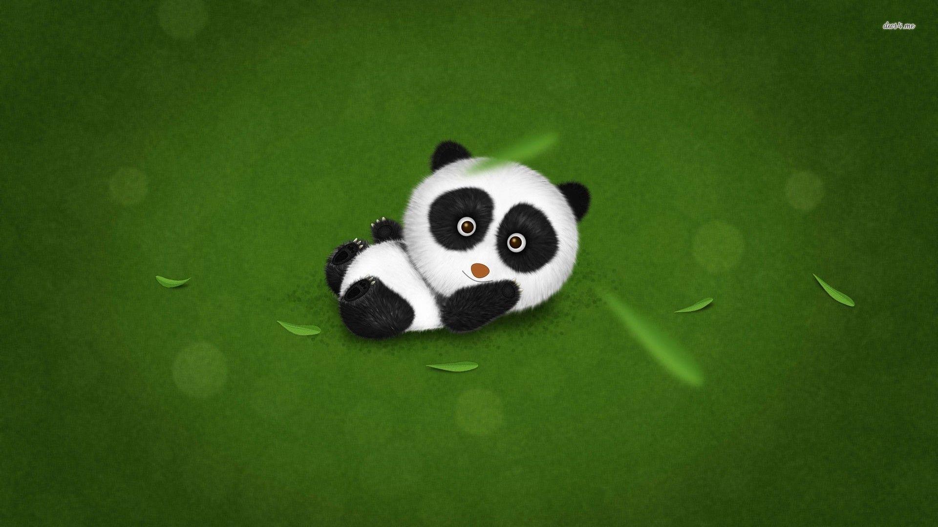 Baby Panda Wallpapers 1920x1080