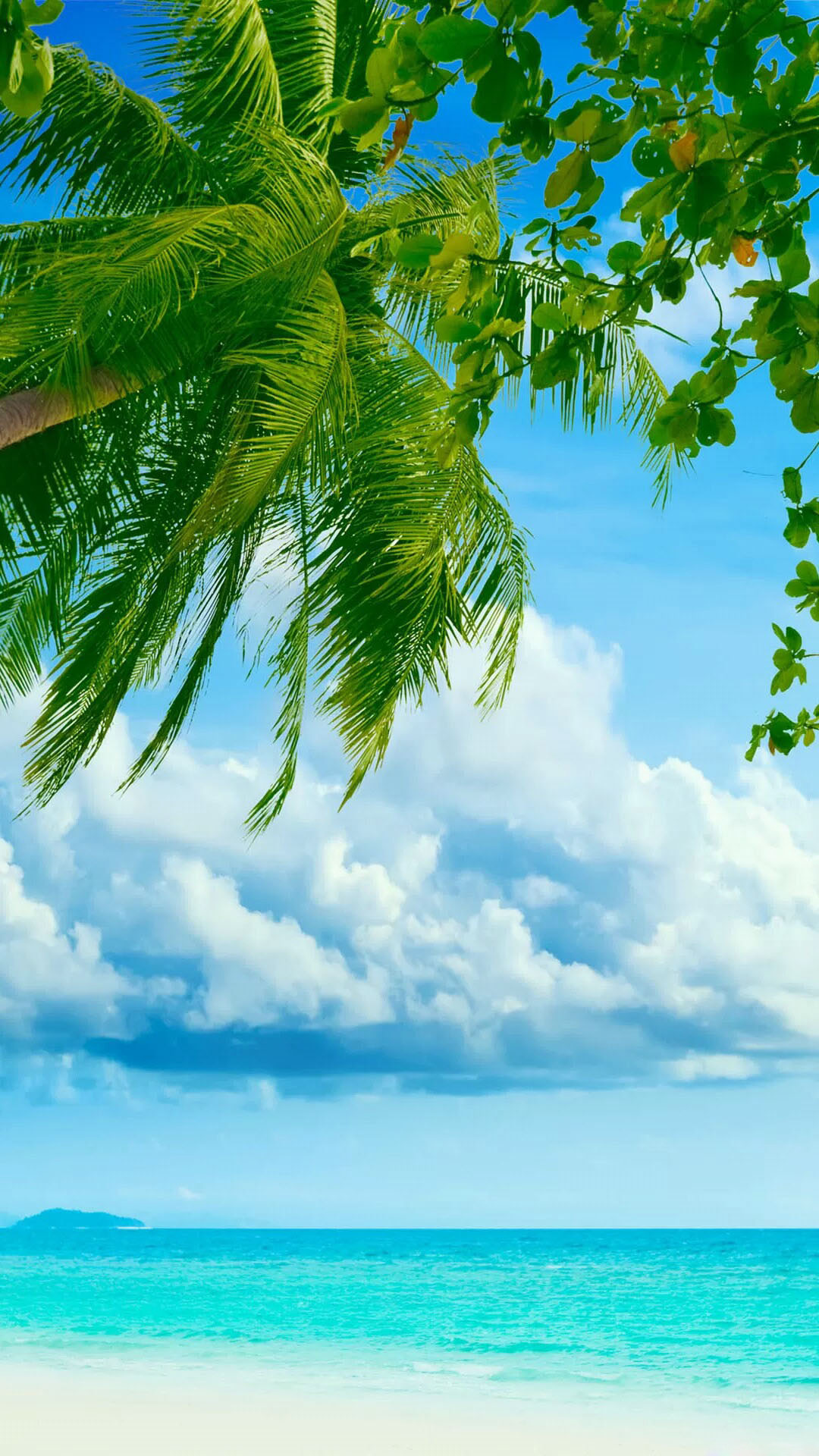 Tropical Beach Coconut Tree   Best htc one wallpapers 1080x1920