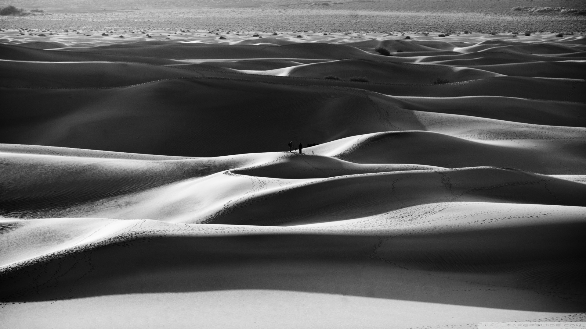 Black and white nature sand desert wallpaper 1920x1080