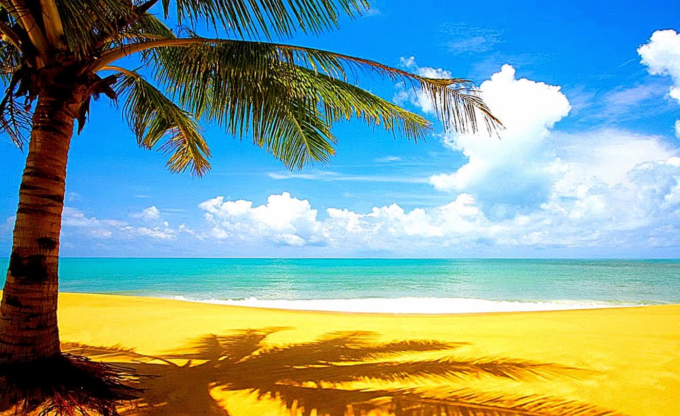 Summer Beach Desktop Backgrounds Desktop Wallpaper 1324x810