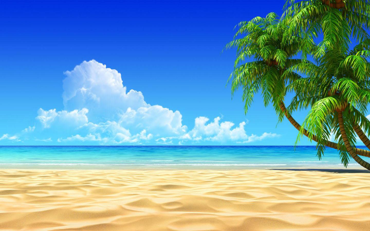 Summer Beach Wallpaper   Android Apps on Google Play 1440x900