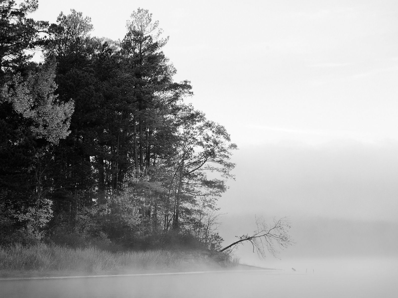 Foggy Lake Black And White Nature 1600x1200