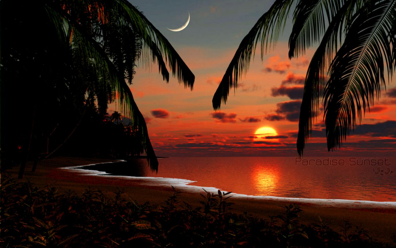 Tropical Sunset Wallpaper Zoom Wallpapers 1368x855