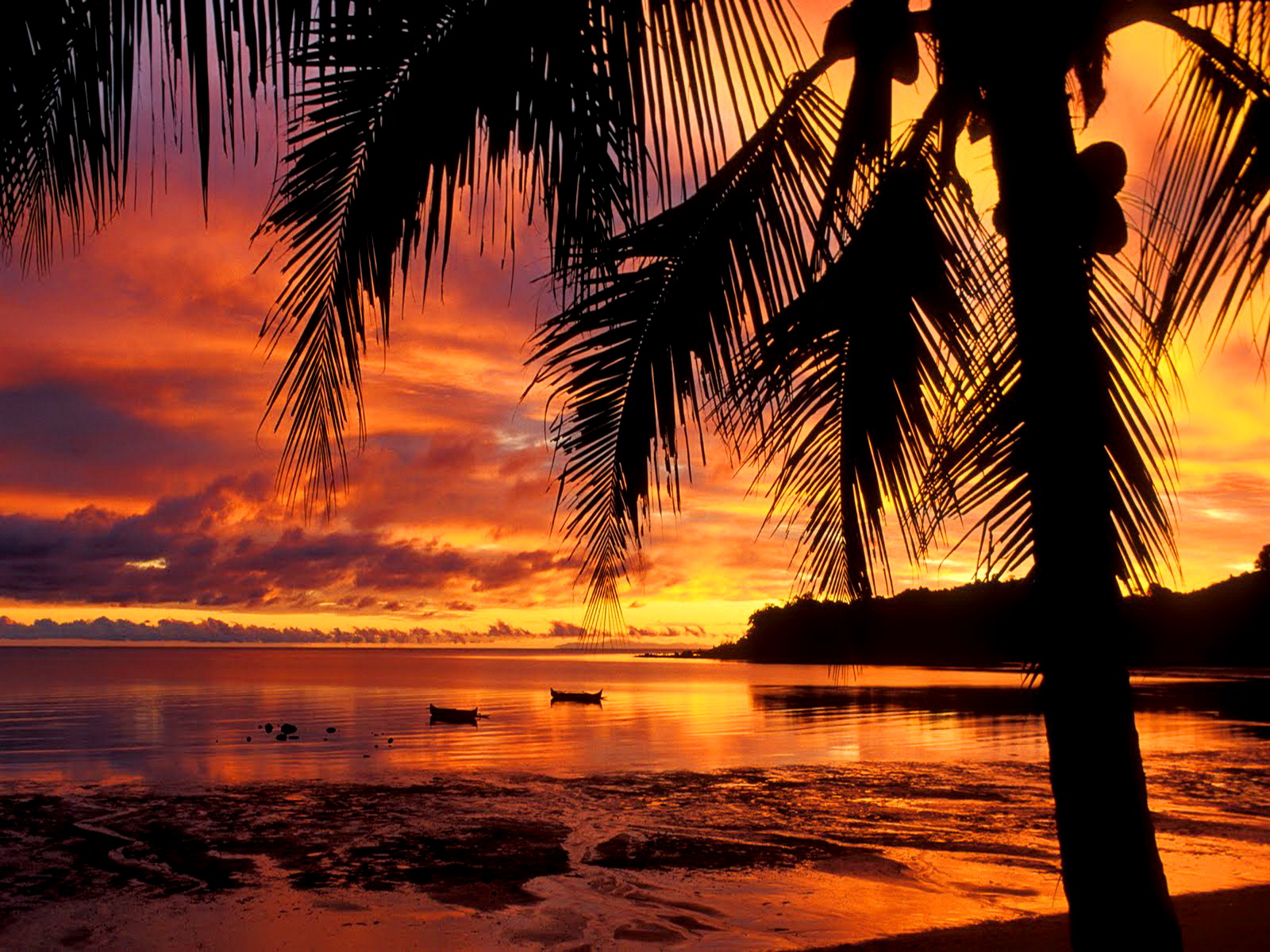 Tropical Island Sunset Wallpaper 1600x1200