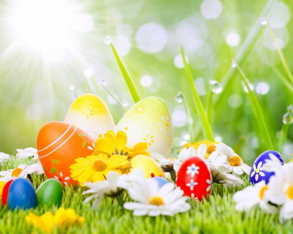 30 Cute and Funny Easter Wallpapers Ginva 600x480