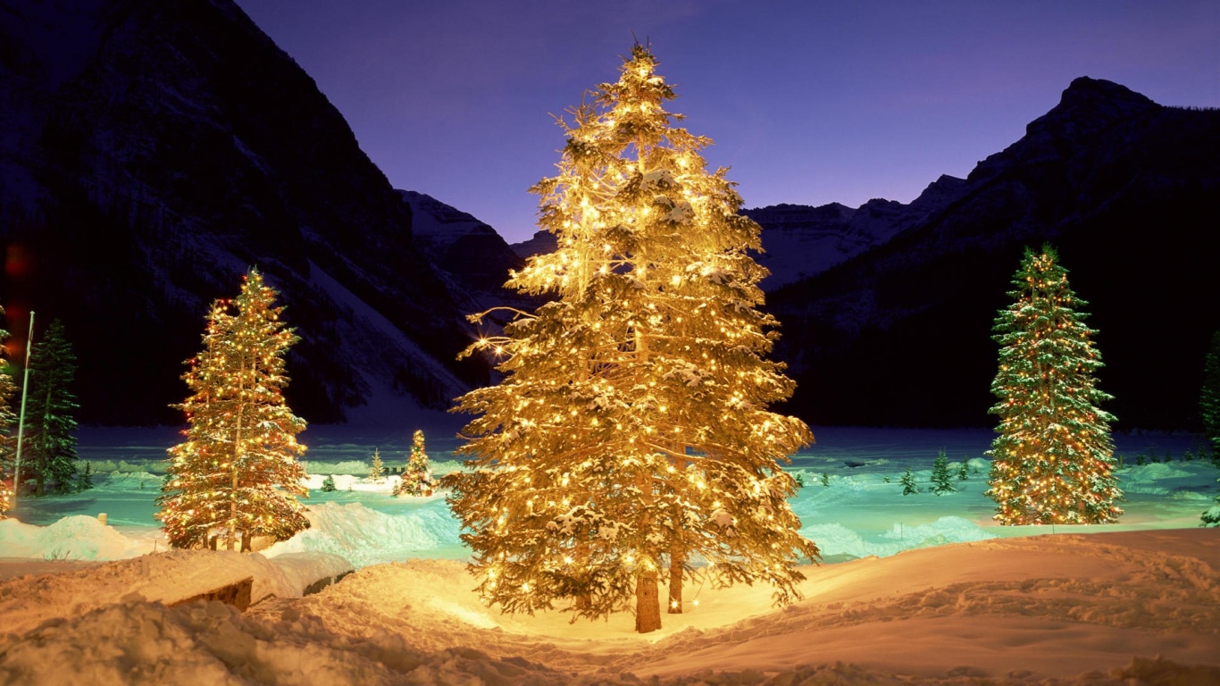 1366x768 Christmas trees in the wild desktop PC and Mac 1366x768