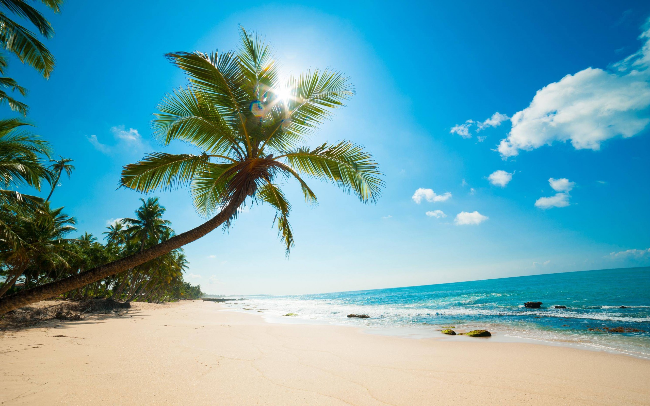 Download Beautiful Sunny Beach HD wallpaper for 2560 x 2560x1600