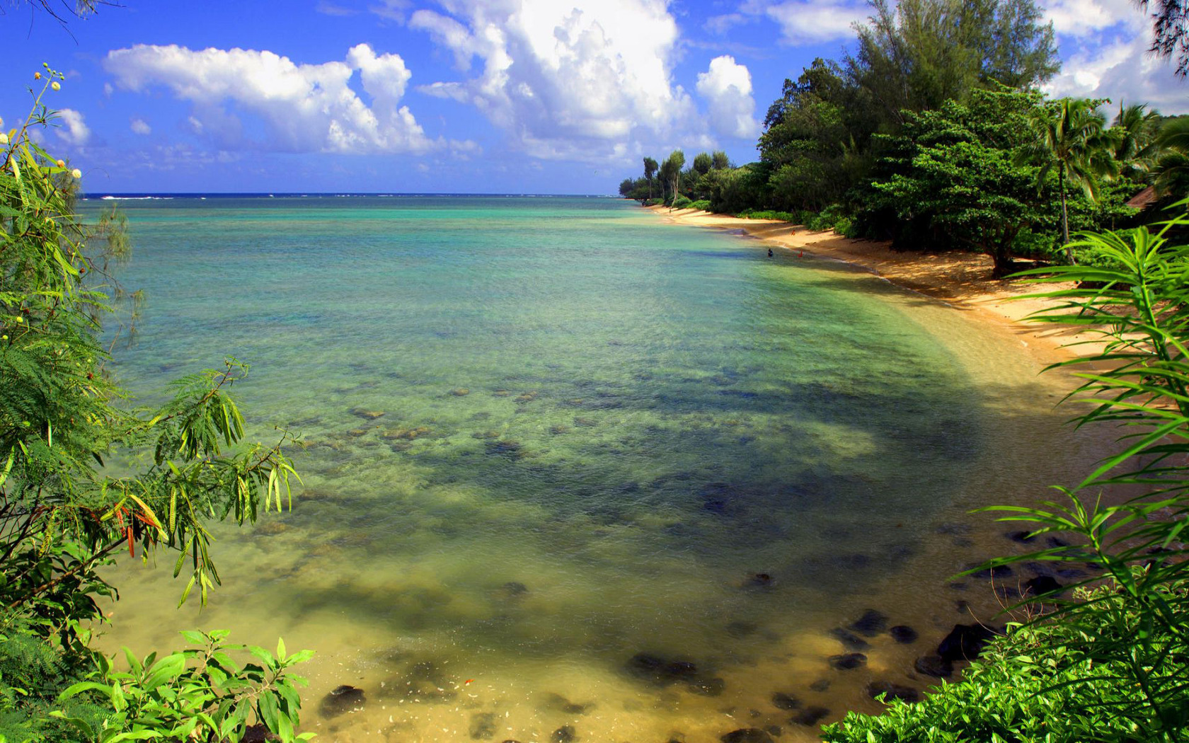 Download Tropical island beach wallpaper 1680x1050