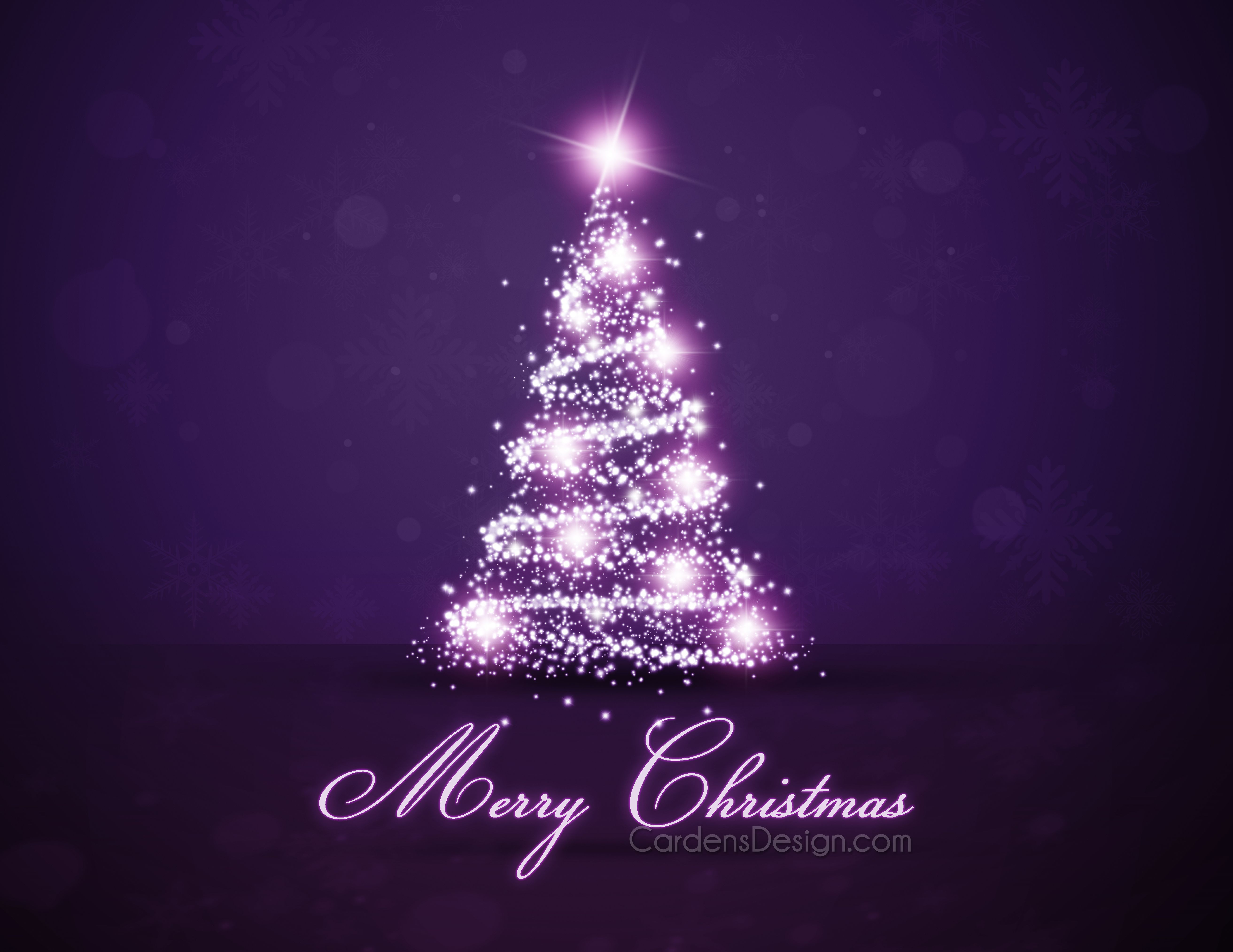 Christmas tree for New Year on the violet background 5250x4056