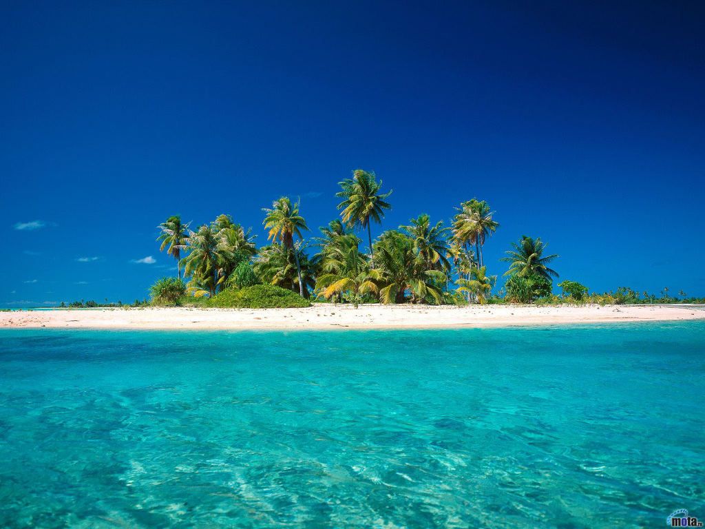 download Tropical Island wallpaper 1024x768