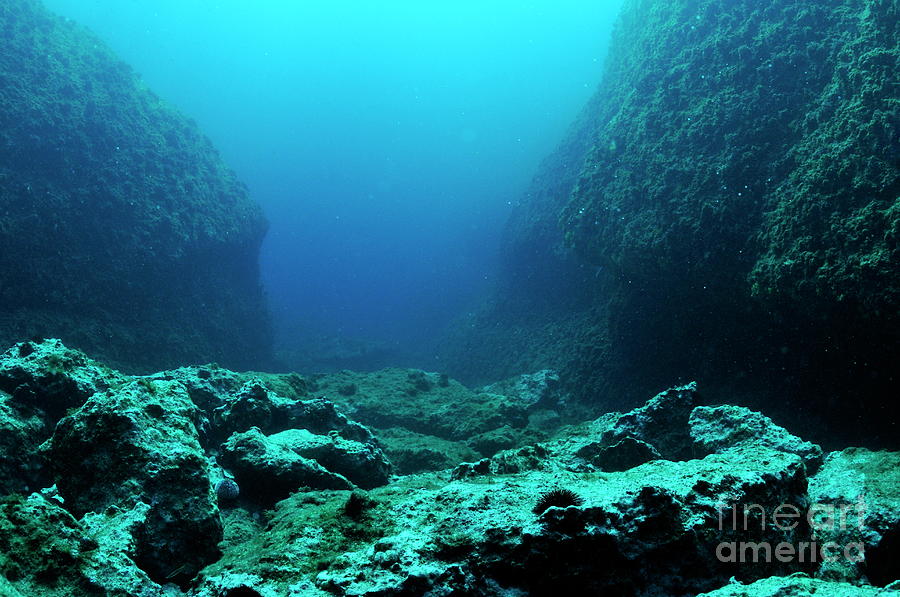 Rocks On Ocean Floor by Sami Sarkis 900x597