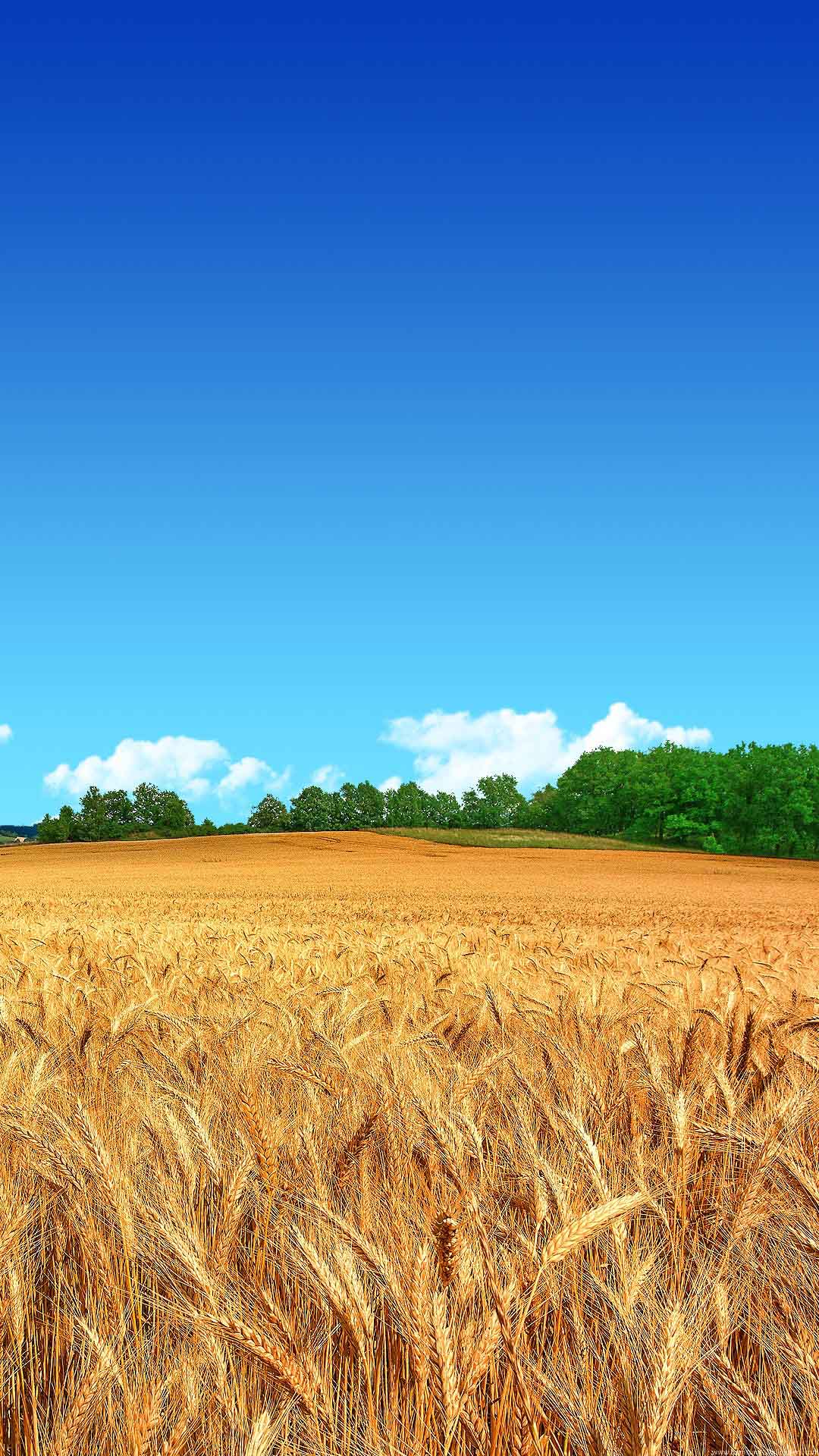 Samsung Galaxy J7 Wallpapers Farmer fields android