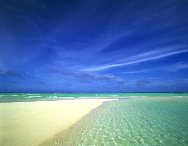  island my dream Sunny beach soft golden sand palms 600x467