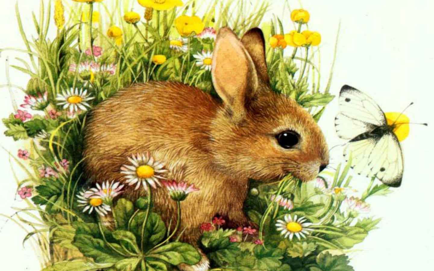 Cute Easter Wallpapers 1440x900