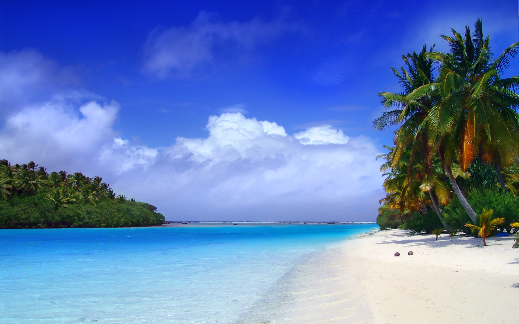 Backgrounds Beach wallpaper wallpaper hd background desktop 1680x1050