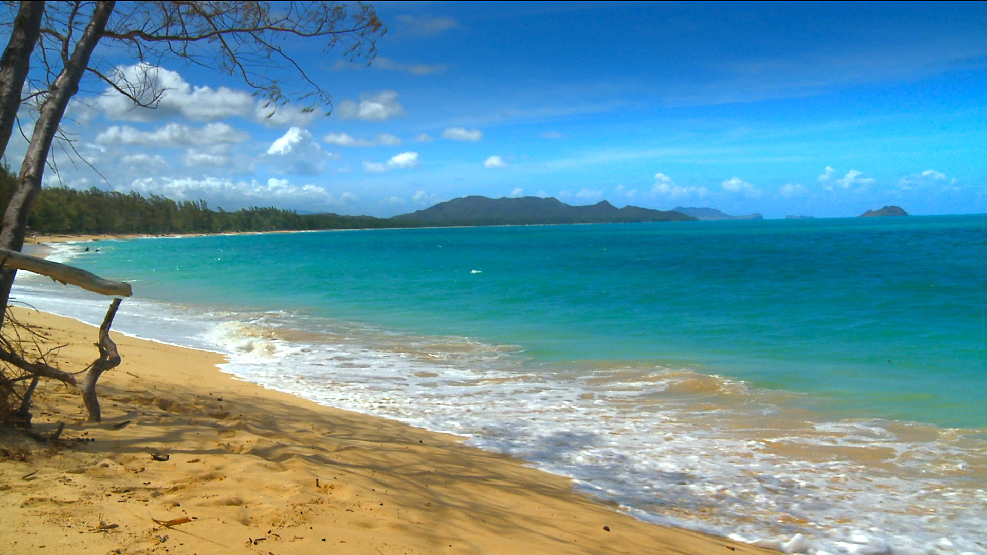 hawaii photos background screensaver beach beaches media 1920x1080