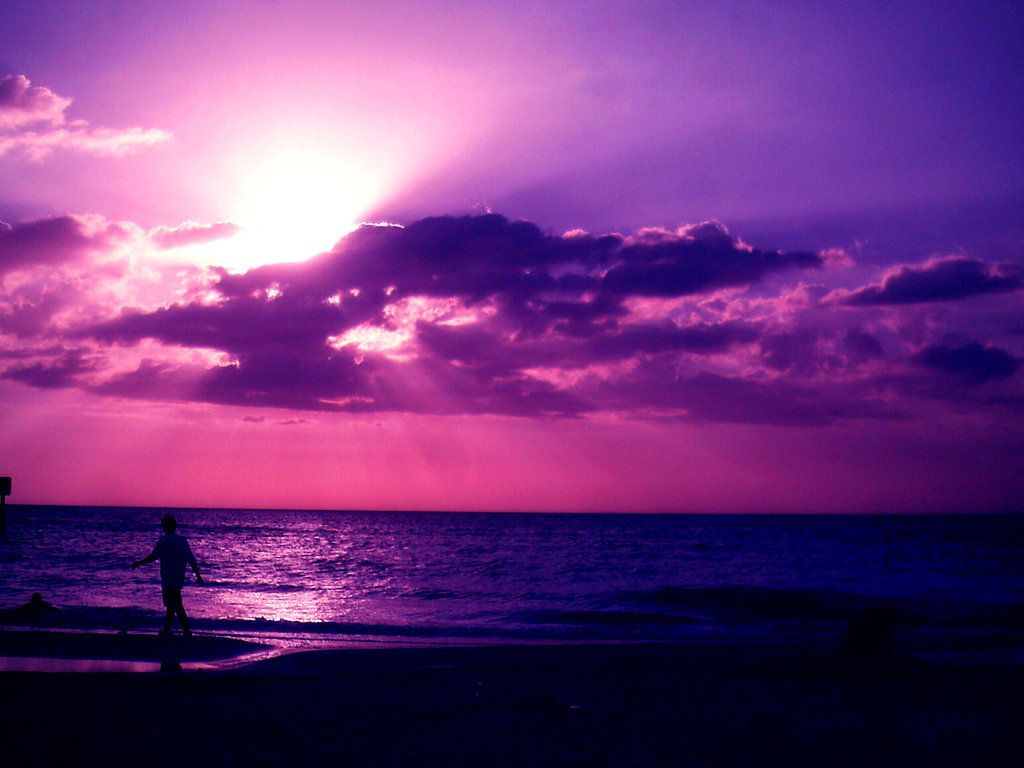 Purple Sunset Wallpaper 1024x768