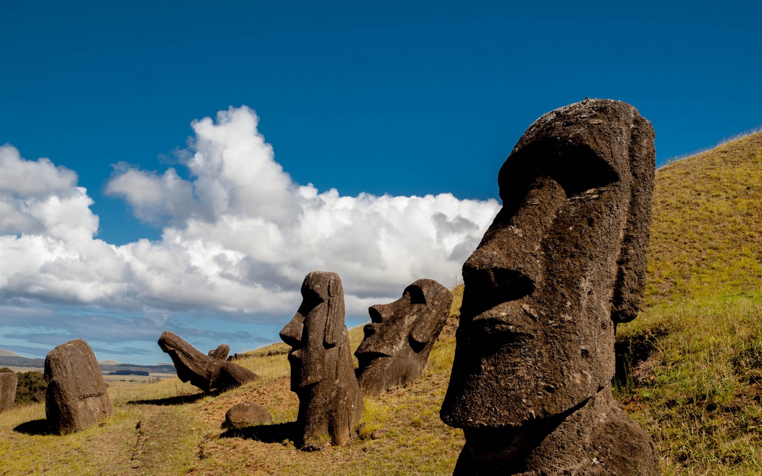 Easter Island Statues HD Wallpaper For Desktop amp Mobile 2560x1600
