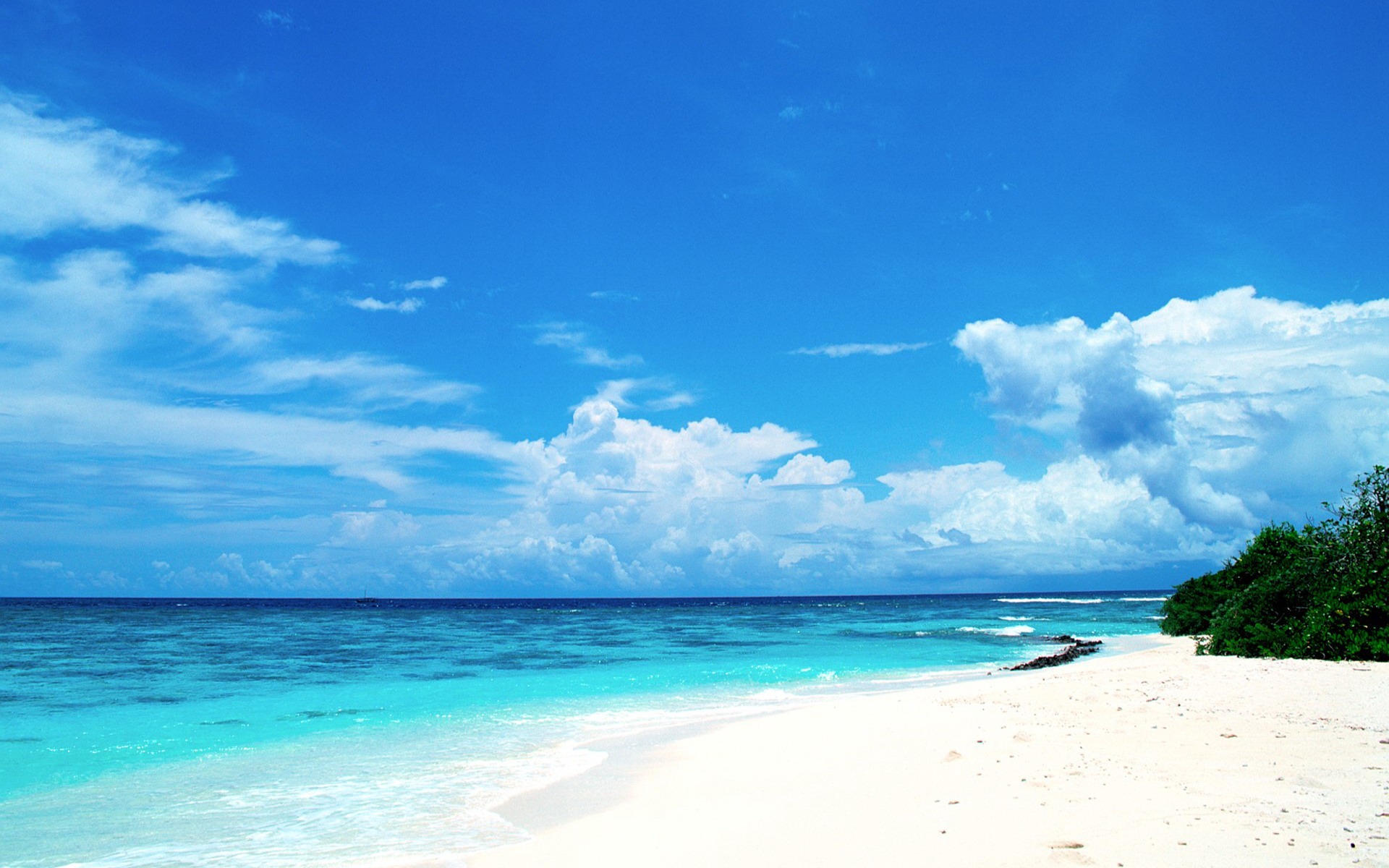 Maldives Beach Summer Wallpaper 1920x1200