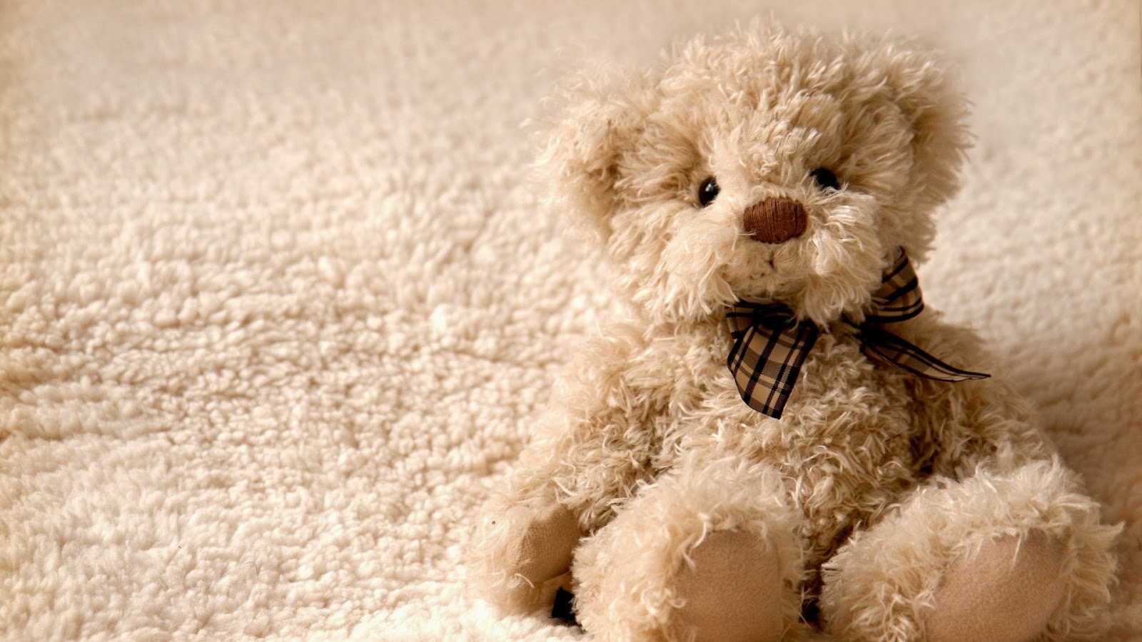 Lovely And Beautiful Teddy Bear Wallpapers Allfreshwallpaper 1600x900