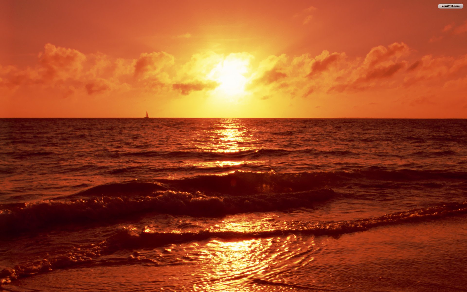 Beach Sunset Wallpaper Image Picture 2339 Wallpaper 1920x1200