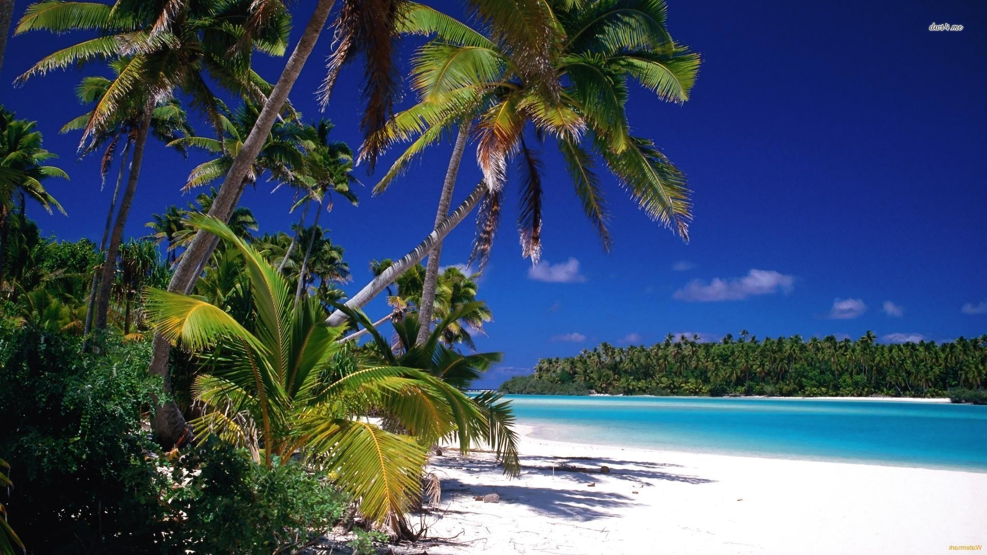 cook islands Desktop Backgrounds for HD Wallpaper wall  art 1920x1080