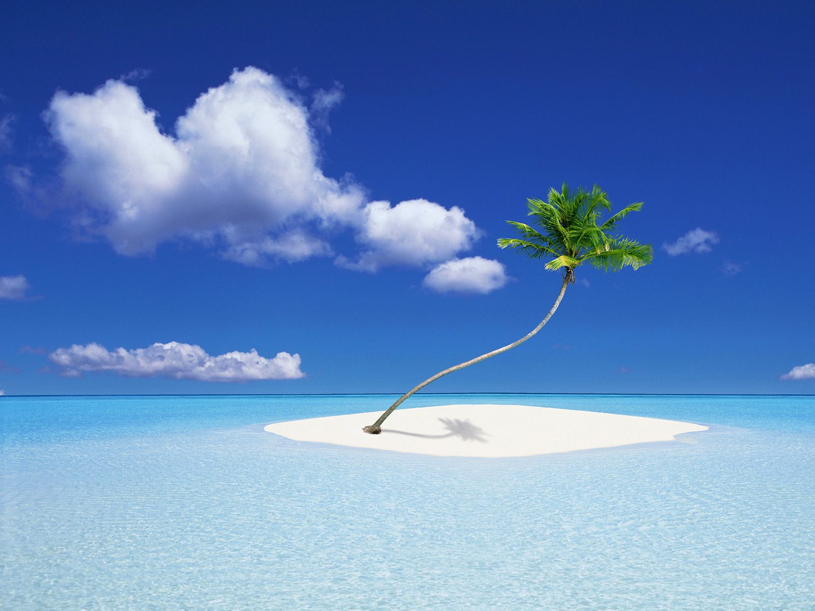 Island Bounty   downloads backgrounds wallpapers 1600x1200