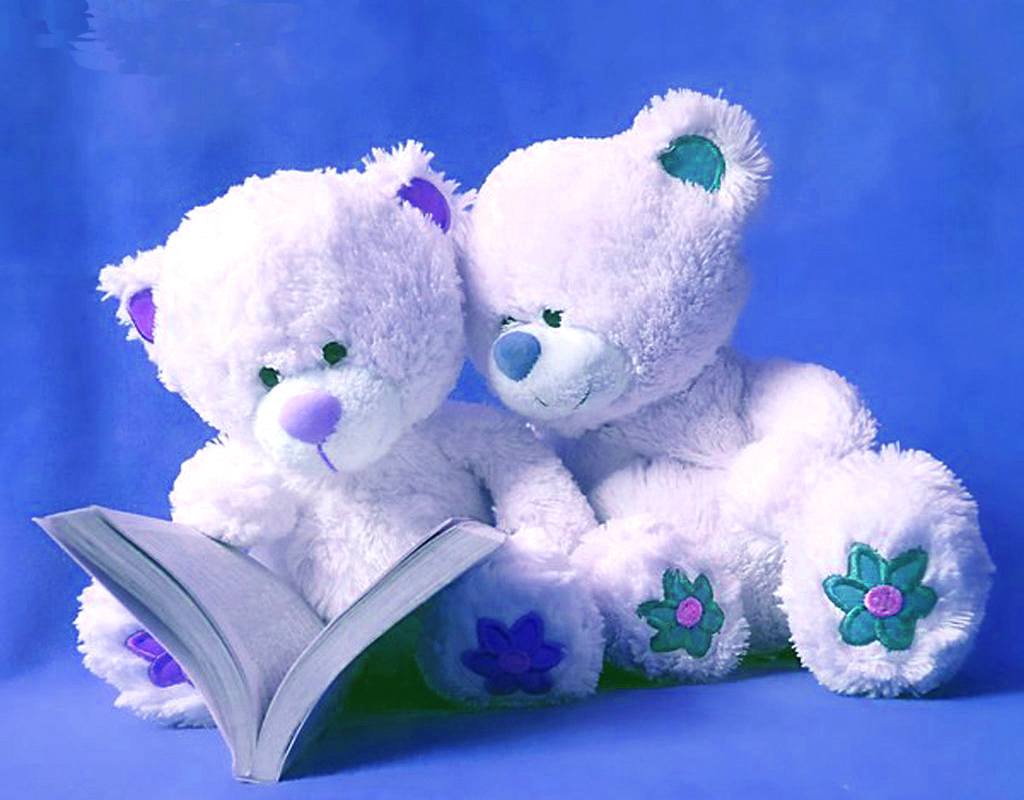 Pics Photos   Most Cute Teddy Bear Wallpaper With 1024x800