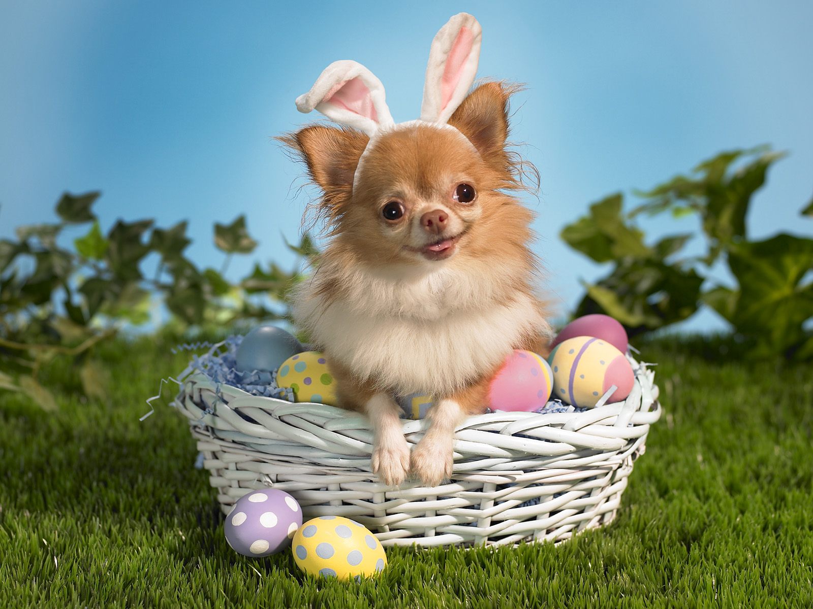 Happy Easter inotternewscom 1600x1200