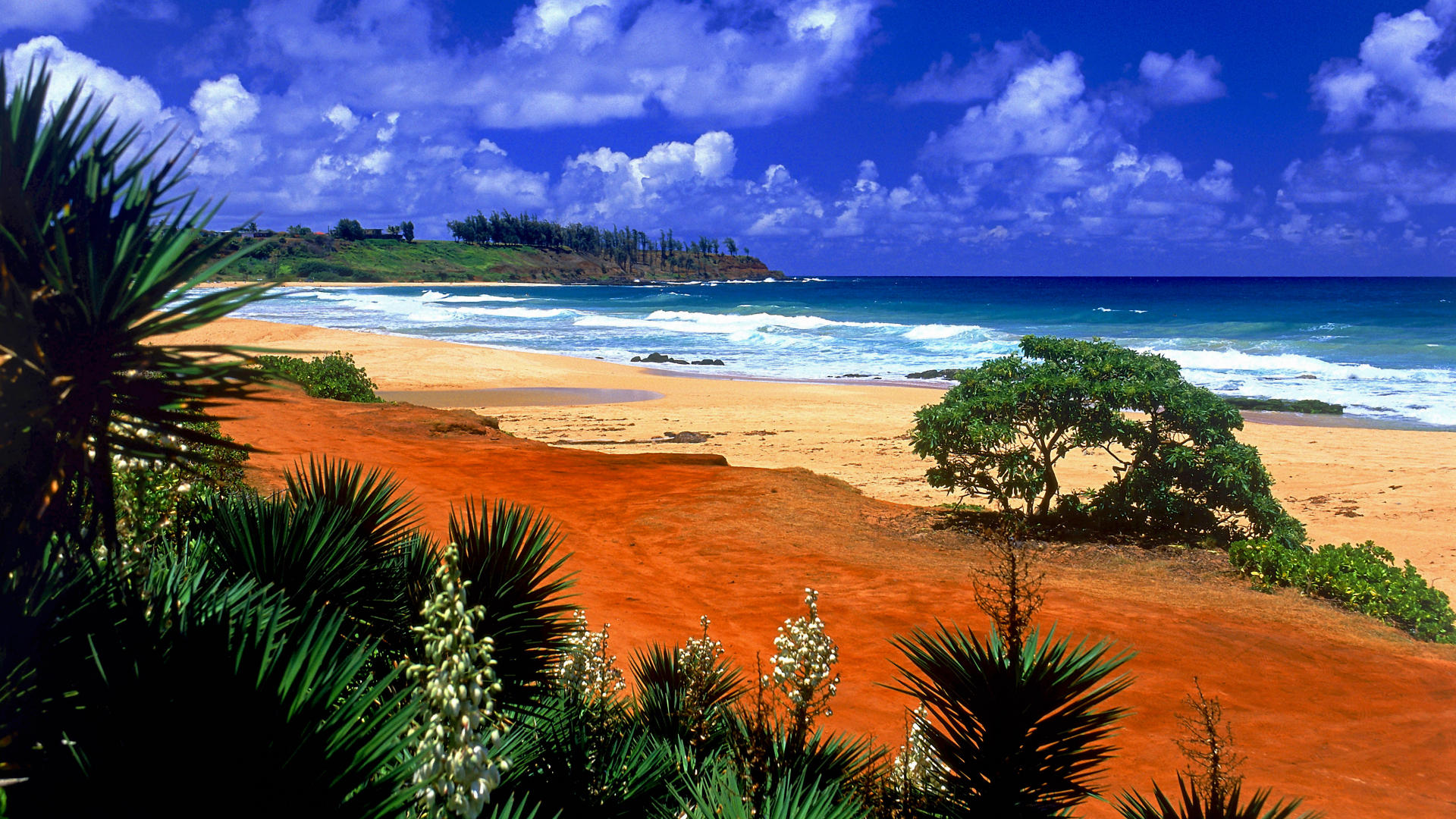 backgrounds beach desktop hawaii kealia kauai 1920x1080