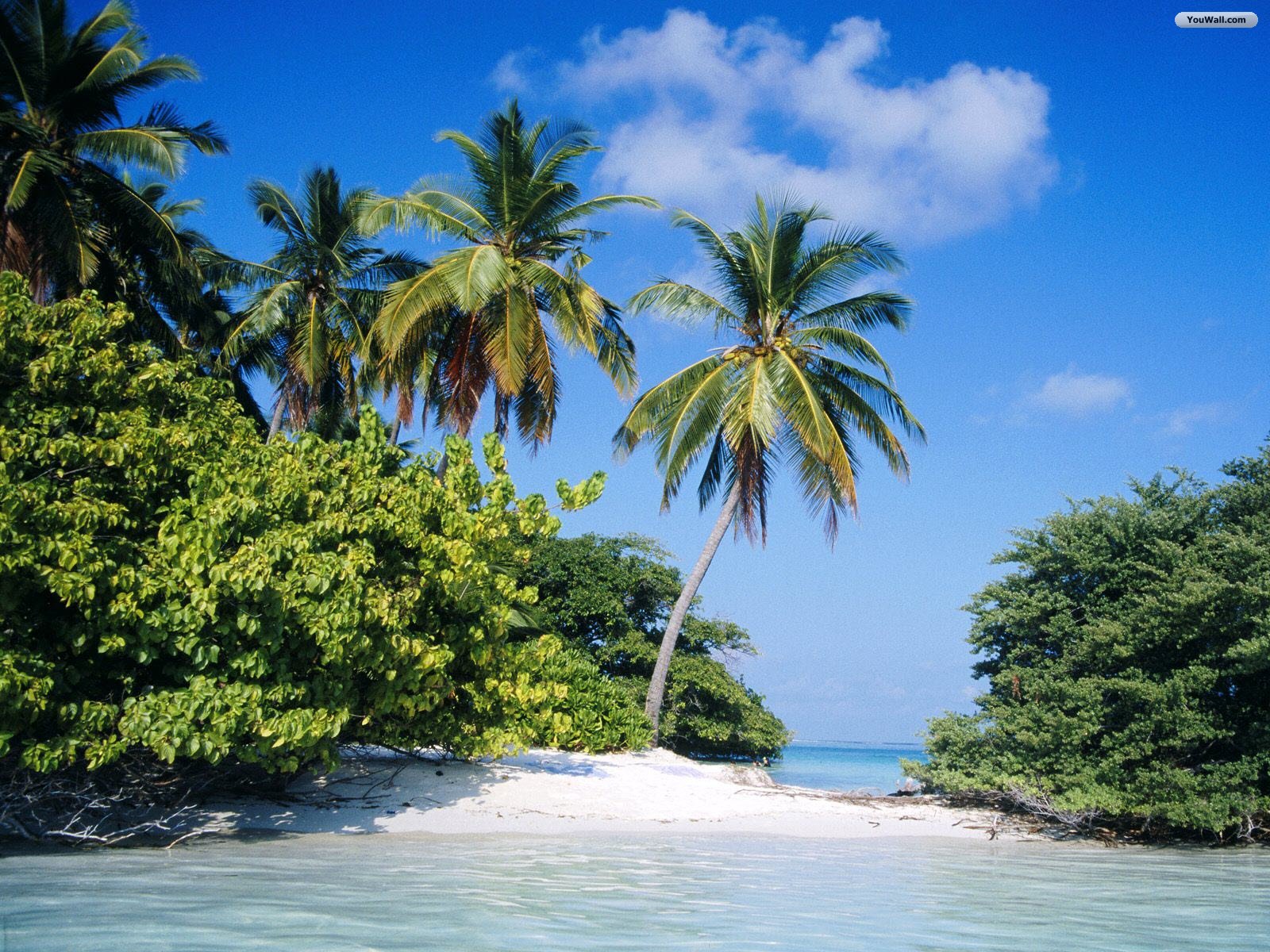   Tropical Island Wallpaper   wallpaperwallpapersfree wallpaper 1600x1200