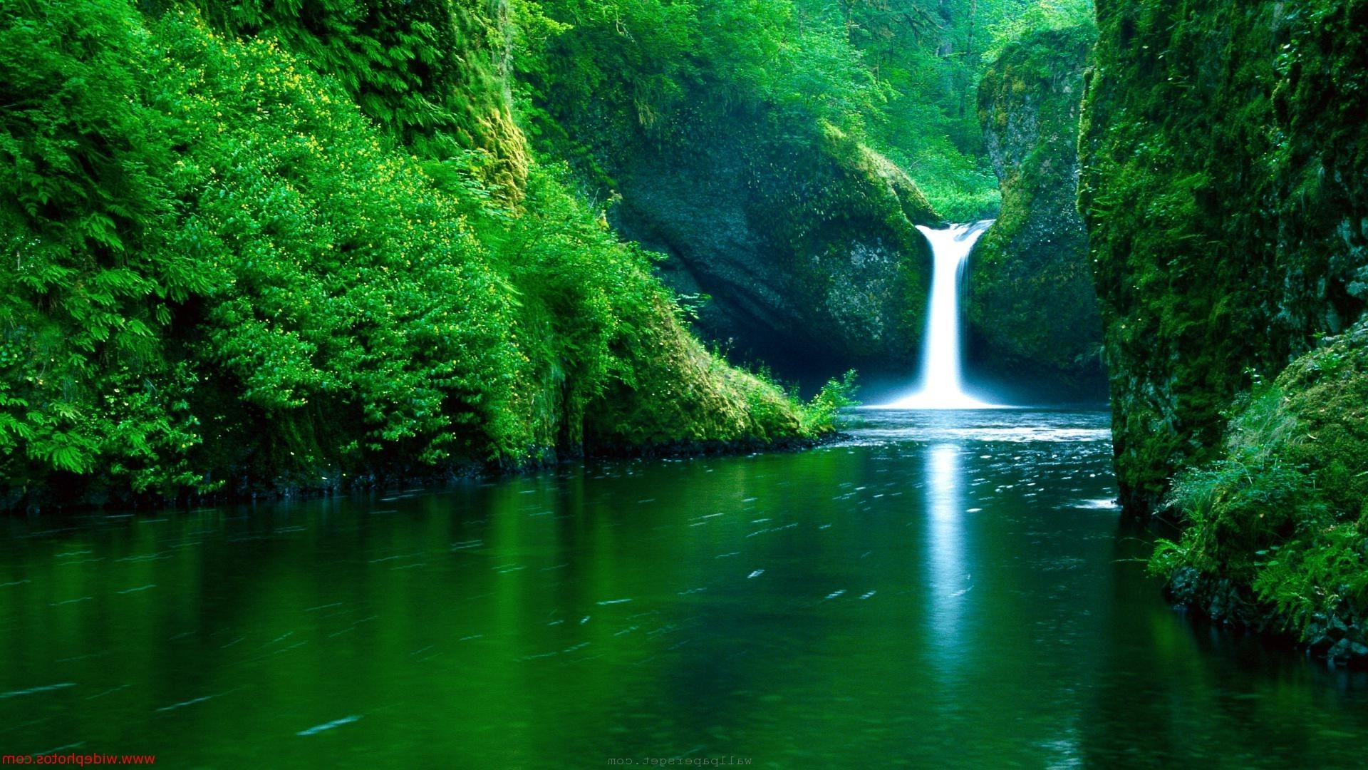 Beautiful Nature Spring   wallpaper 1920x1080