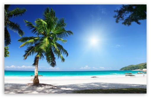 Download Sunny Beach wallpaper 510x330