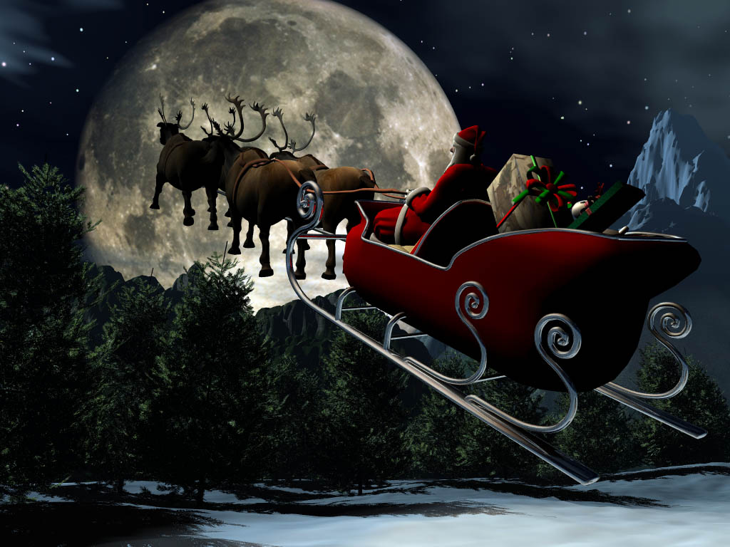 Christmas Nature 05 wallpaper   Desktop Wallpaper 1024x768
