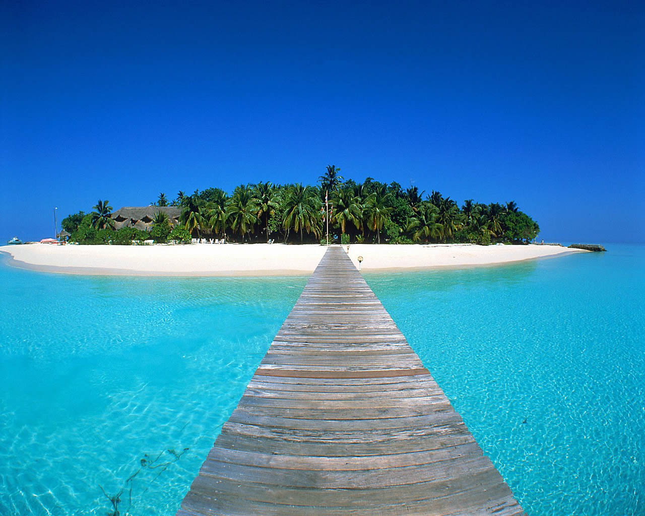 Tropical Island Wallpaper 10610 Hd Wallpapers in Beach   Imagescicom 1280x1024