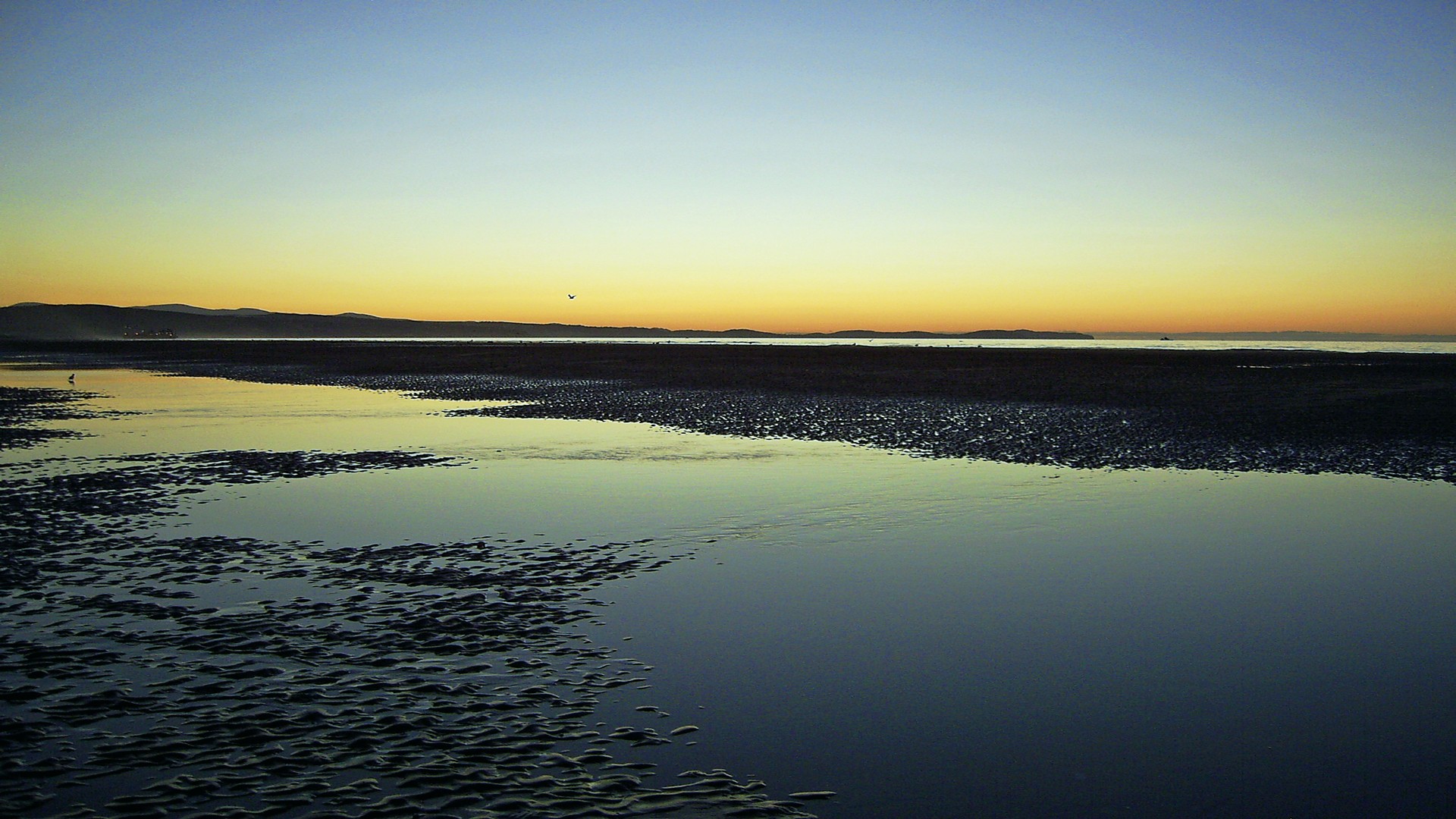 Beach Sunset wallpaper   738791 1920x1080