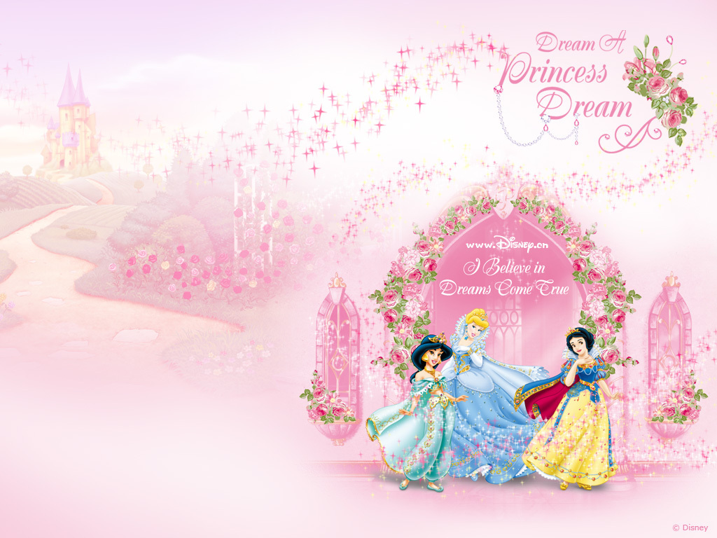 Disney Princesses   Disney Princess Wallpaper 8622232 1024x768