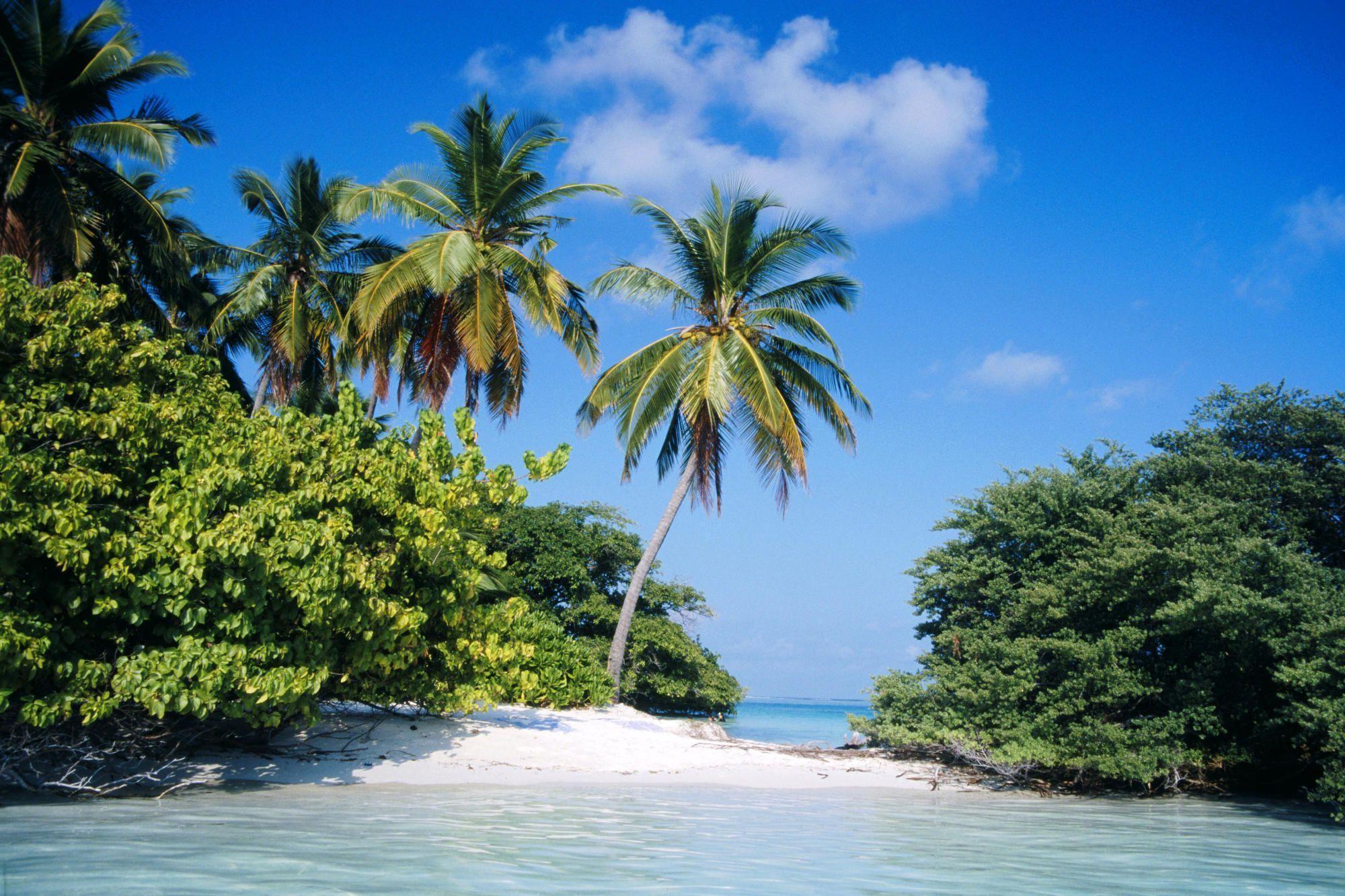 Tropical Island Desktop Wallpapers 2000x1333