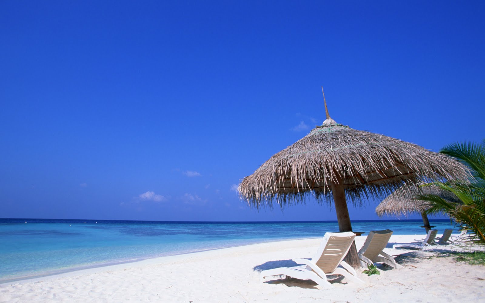 maldives beach chairs wallpaper which is under the beach wallpapers 1600x1000