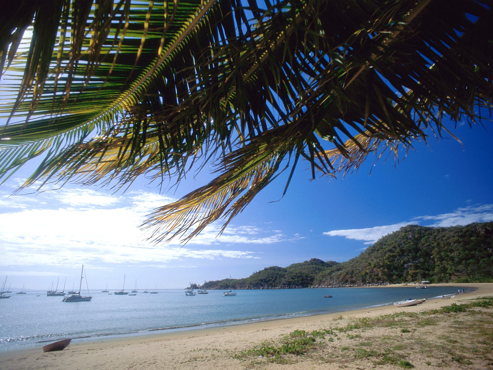 Beach Desktop Backgrounds and Wallpaper   Magnetic Island National 1600x1200