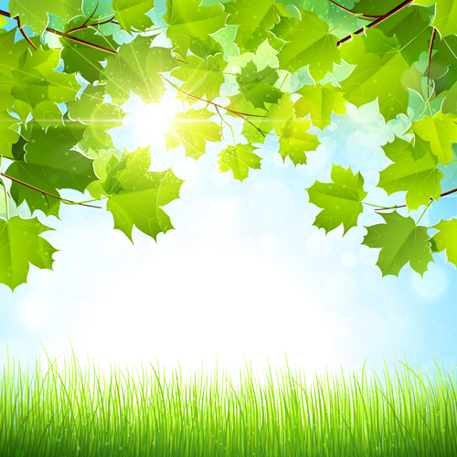 Sunlight with nature background art vector Over millions vectors 500x500