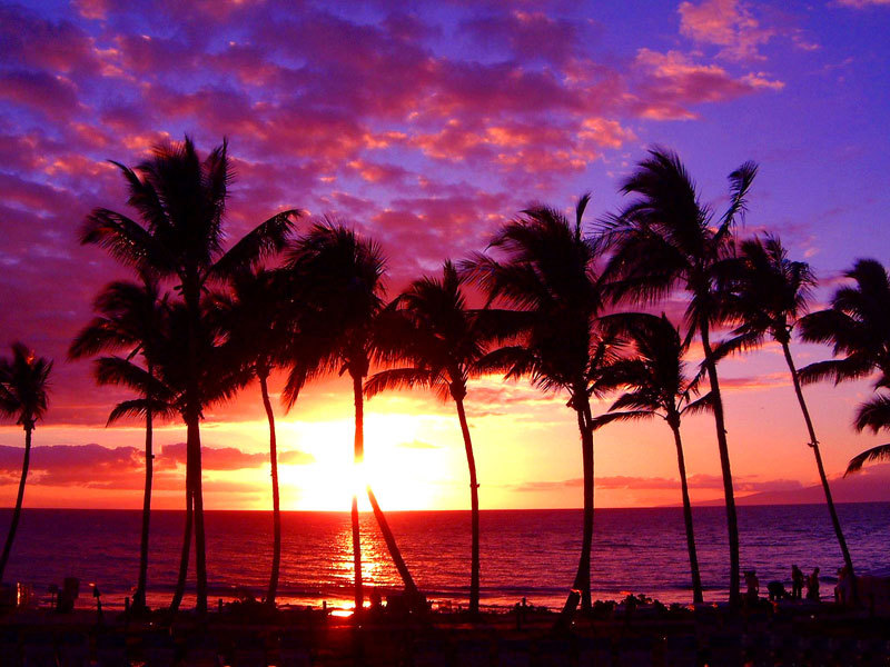 Hawaiian Sunset Background Awesome hawaii sunset 800x600