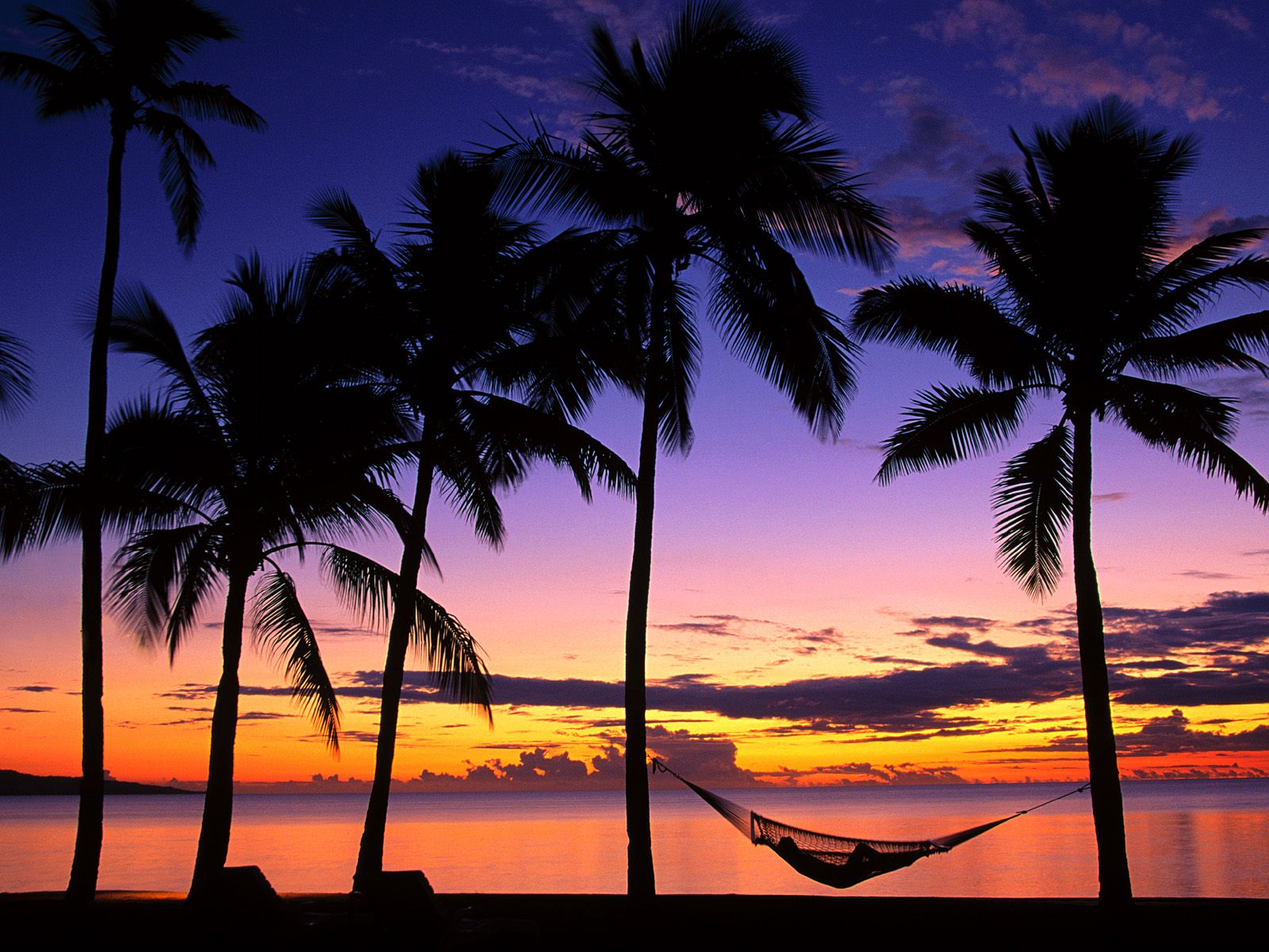 Tropical Island Sunset Wallpaper wwwimgkidcom   The 1600x1200